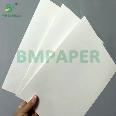 300g 350g White Coated Folding Cardboard Untuk High End Printing 65 X 90cm