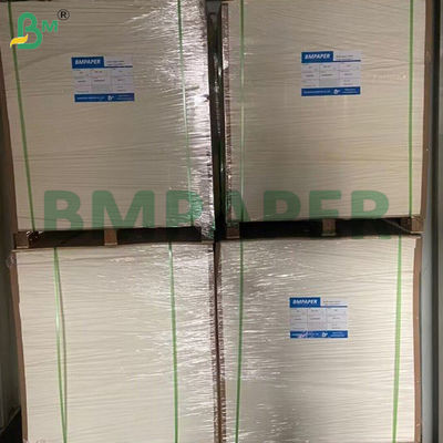 80gm Cupcake Muffin Liner Baking Paper Food Grade 80 * 100cm
