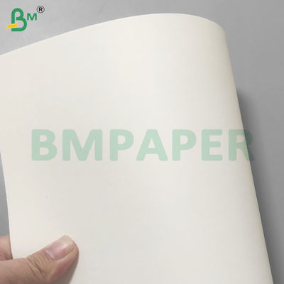 PE dilapisi cup anti bocor stok kertas gulungan untuk minum 190gsm + 10gsm