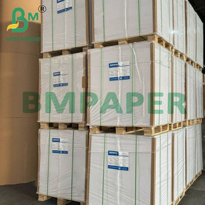 210g + 15g Double Side PE Coated Paper Cup Stock Board Lembar kelas makanan