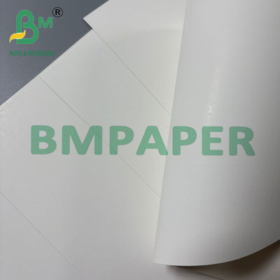 250gm Natural White Cardboard Folding Box Board FBB SBS 70 * 100cm