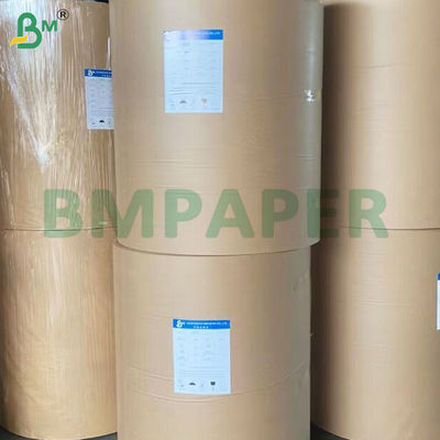 Paper Bowl yang Dilapisi PE untuk Kemasan Makanan Berkelanjutan