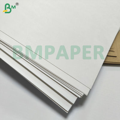 BMPAPER Liquid Proof Putih &amp; Brown Cupstock Paper Laminated Dengan Lapisan PE