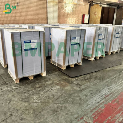 BMPAPER Liquid Proof Putih &amp; Brown Cupstock Paper Laminated Dengan Lapisan PE