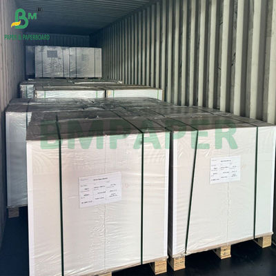 250gm 12pt C2S Gloss Cover Paper White Printing Board 88 × 66cm 70 × 100cm