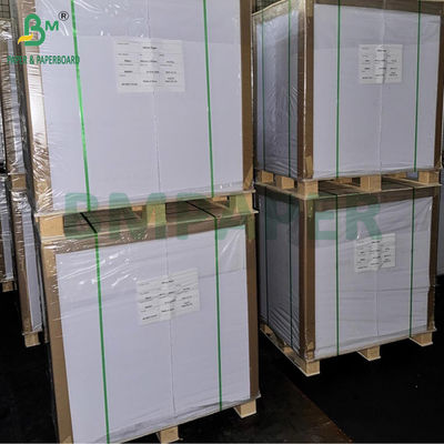 250gm 12pt C2S Gloss Cover Paper White Printing Board 88 × 66cm 70 × 100cm