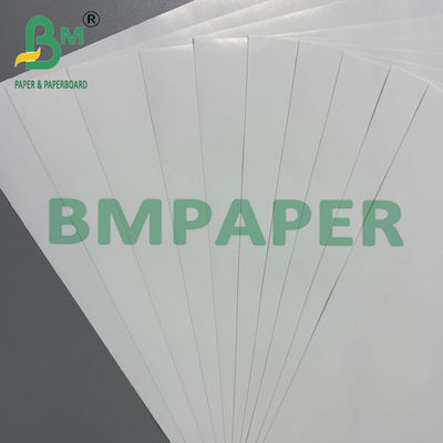 120 gram C1S Coated Art Paper Glossy Label Board Roll 70 * 100cm