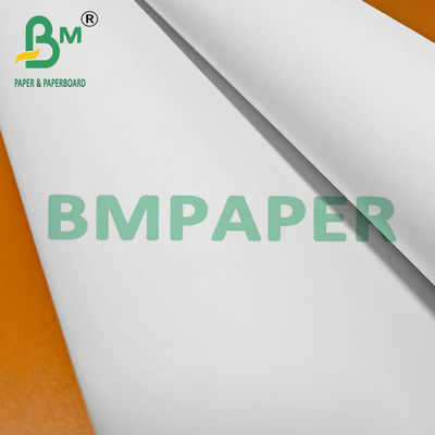 80gsm 24 Inch / 36 Inch lebar Woodfree CAD Inkjet Plotter Paper Roll