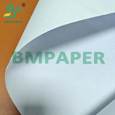 80gsm 24 Inch / 36 Inch lebar Woodfree CAD Inkjet Plotter Paper Roll