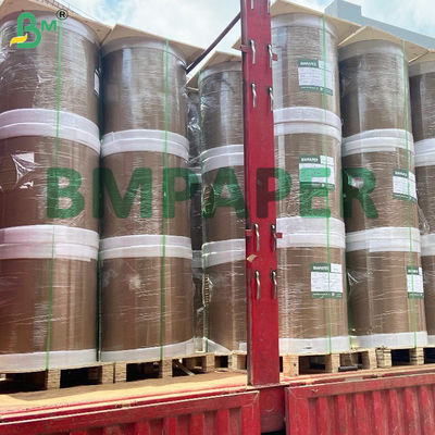 Single-sided Putih Kraft PE Paper Kualitas Tinggi Untuk Kemasan Makanan