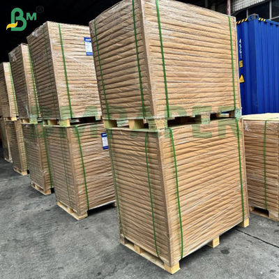 200g 210g Kekuatan Ekstensibilitas Putih Cup Stock Paper Untuk membuat cangkir kertas