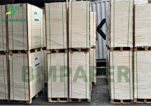 300g 350g 900mm 1000mm Lapisan Kertas SBS Foodgrade Untuk Kotak Kemasan Makanan