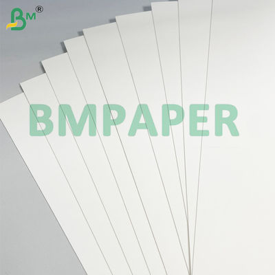 200g 210g Kekuatan Ekstensibilitas Putih Cup Stock Paper Untuk membuat cangkir kertas