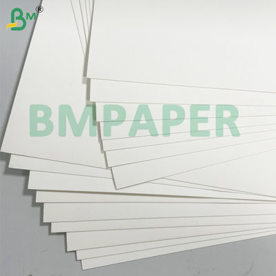 200g 210g Kekuatan Ekstensibilitas Putih Cup Stock Paper Untuk membuat cangkir kertas