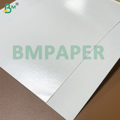 200g 210g Kekuatan Ekstensibilitas Putih Cup Stock Paper Untuk membuat cangkir kertas