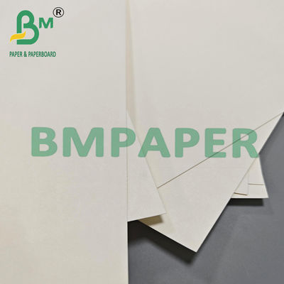 210gm 230gm Biodegradable Hot Coffee Tea Cup Paper Bahan baku