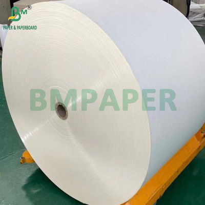240gm + 18g PE Lapisan Cupstock Paper Untuk Tray Mats Water Resistant 650mm