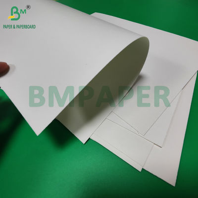 240gm + 18g PE Lapisan Cupstock Paper Untuk Tray Mats Water Resistant 650mm