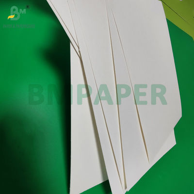 240gm + 18g PE Lapisan Cupstock Paper Untuk Tray Mats Water Resistant 650mm