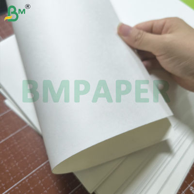Kertas White Bowl yang tahan cair dengan lapisan polietilen di satu sisi