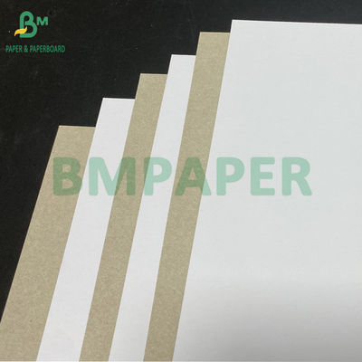 450gm 400gm C1S kertas berlapis tanah liat dengan punggung abu-abu 22 "x 24" lembar
