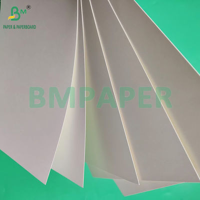 210gsm 230gsm 15g PE Matte Coating White Cup Paper Untuk membuat cangkir kopi