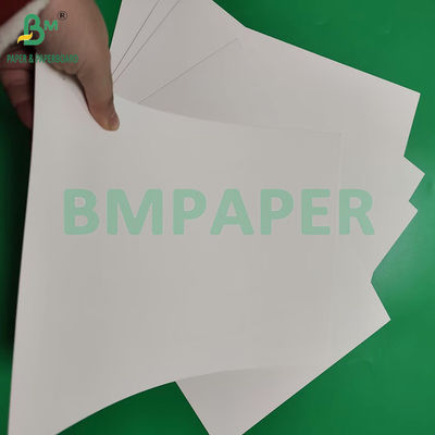 210gsm 230gsm 15g PE Matte Coating White Cup Paper Untuk membuat cangkir kopi