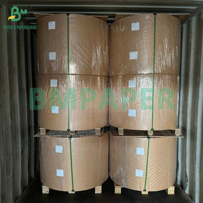210gsm 230gsm 15g PE Matte Coating White Cup Paper Untuk membuat cangkir kopi