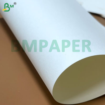 Bahan makanan Noodle Bowl Paper Board 700mm x 1000mm 200g + 20g PE Coated