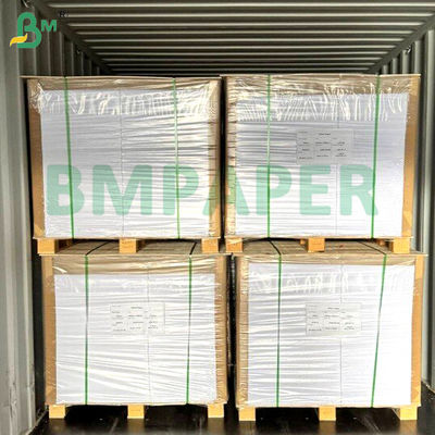 Bahan makanan Noodle Bowl Paper Board 700mm x 1000mm 200g + 20g PE Coated