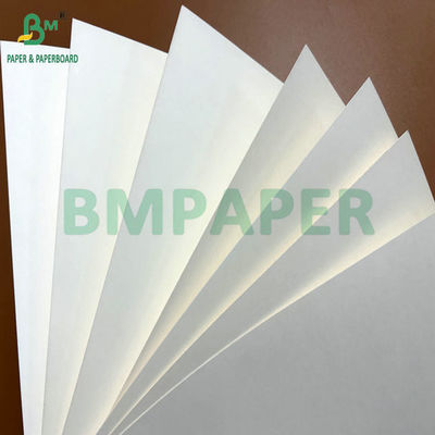 240g 260g Pulp murni CupStock Paper untuk membuat cangkir kopi 90cm 105cm