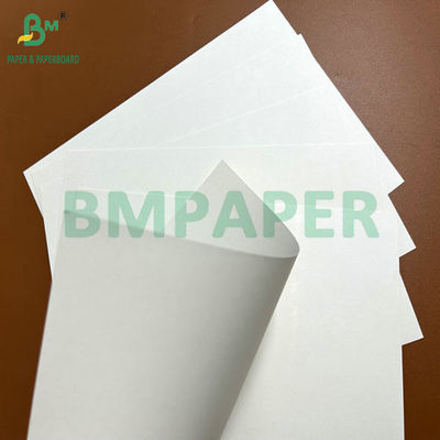 240g 260g Pulp murni CupStock Paper untuk membuat cangkir kopi 90cm 105cm