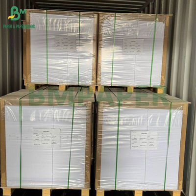 230g - 300g PET Food Grade Tray Liner Rolls Untuk Oven Suhu Tinggi