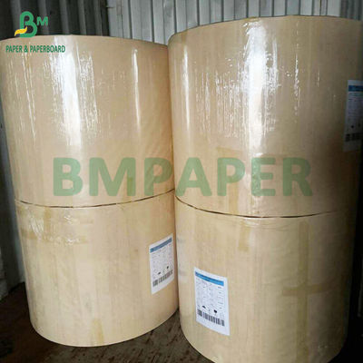 250g 300g Aqueous Plastic Free Paper Cups Bowls Paper yang terbuat dari 100% Serat Bambu