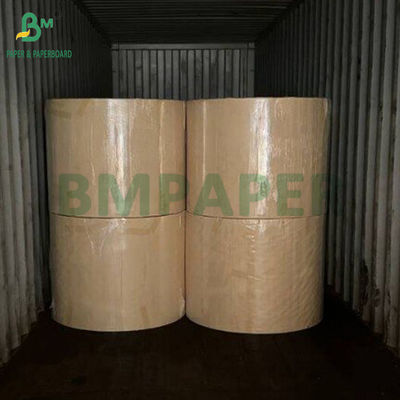 250g 300g Aqueous Plastic Free Paper Cups Bowls Paper yang terbuat dari 100% Serat Bambu