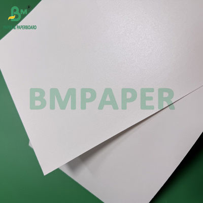 260g 280g + 10g Biodegradable Plastic-Free Aqueous Coated Paper Untuk cangkir mangkuk