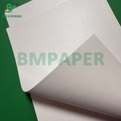 260g 280g + 10g Biodegradable Plastic-Free Aqueous Coated Paper Untuk cangkir mangkuk
