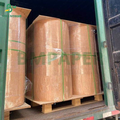 260g 280g + 10g Biodegradable Plastic-Free Aqueous Coated Paper Untuk cangkir mangkuk