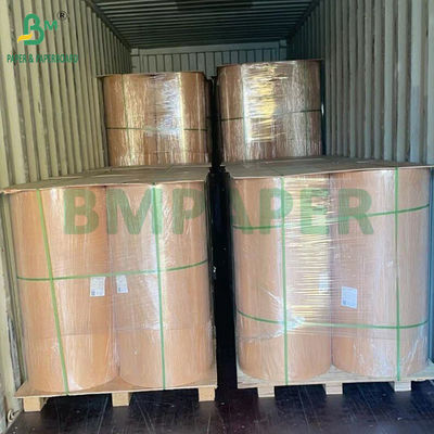 260g 280g + 10g Biodegradable Plastic-Free Aqueous Coated Paper Untuk cangkir mangkuk