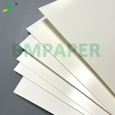 180gm 200gm Aqueous Plastic Free Paper Cupstock Paper Heat Resistant 120°C Untuk cangkir kertas Bowl Takeaway Container