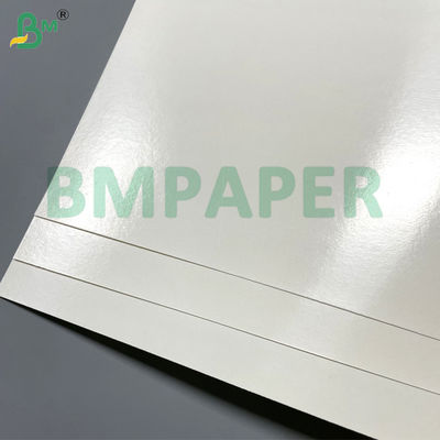 180gm 200gm Aqueous Plastic Free Paper Cupstock Paper Heat Resistant 120°C Untuk cangkir kertas Bowl Takeaway Container