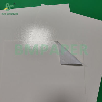 300+15gm Glossy Pe Coated Food Grade White Paperboard Pengemasan Produk beku