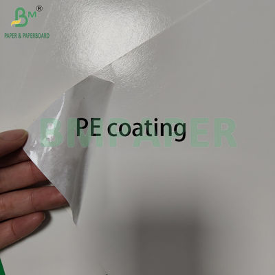 300+15gm Glossy Pe Coated Food Grade White Paperboard Pengemasan Produk beku