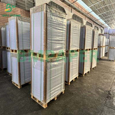 300+15gm Glossy Pe Coated Food Grade White Paperboard Pengemasan Produk beku