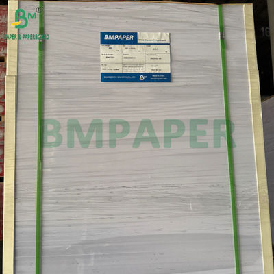 240g +15PE Lapisan 1 Sisi Cupstock Kertas Untuk Minum Cups 31 x 43 inci Waterproof 100%