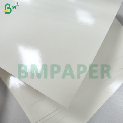 Microwaveable dan ovenable PET Coating Bowl Paper Keamanan yang baik