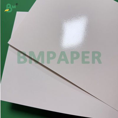 315gsm Kardus PET tahan suhu tinggi untuk membuat nampan makanan