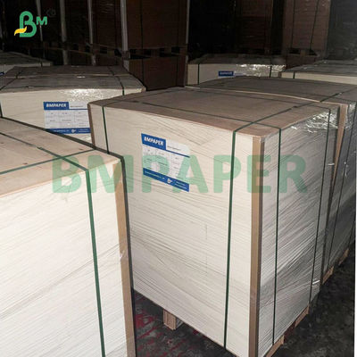 315gsm Kardus PET tahan suhu tinggi untuk membuat nampan makanan