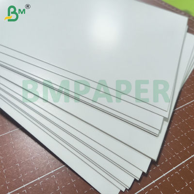 Kit No. 6 C1S Greaseproof Paperboard 255gsm Untuk Kontak Makanan Langsung