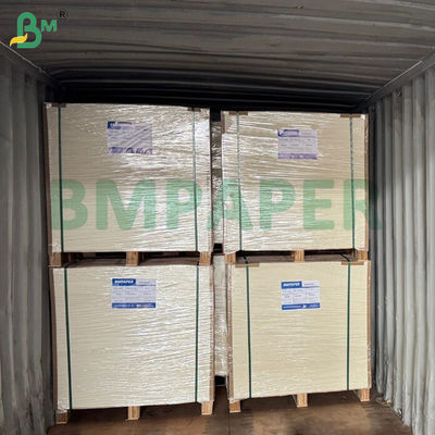 210gsm 220gsm Kit 6 Greaseproof Board Untuk wadah makanan 24 x 36 inci Waterproof